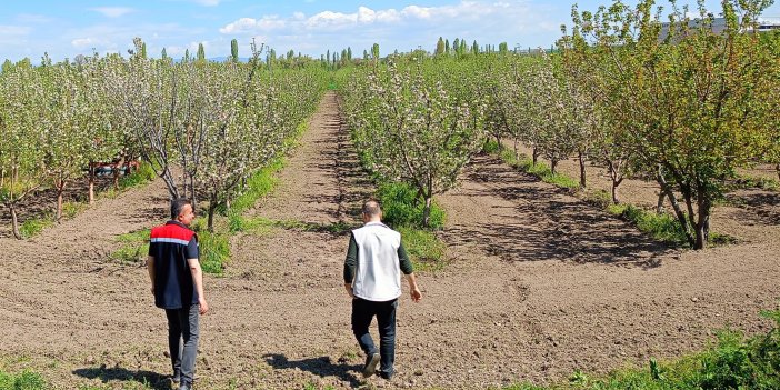 Beyşehir'de meyve bahçeleri kontrol edildi