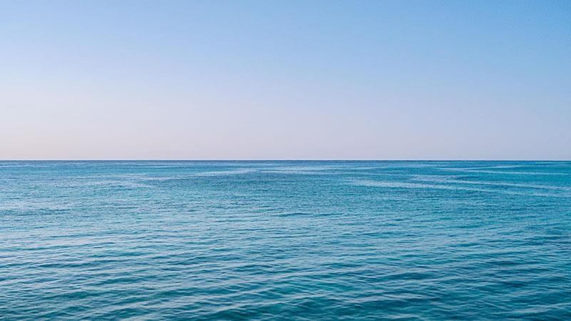 Türk yüzücüler köpek balığı saldırısına uğradı