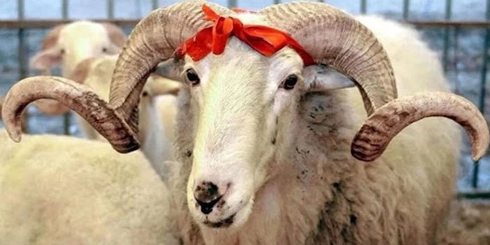 Kurban Bayramı tatili uzayacak mı, uzamayacak mı sorusu yanıt buldu İŞTE AYRINTILAR