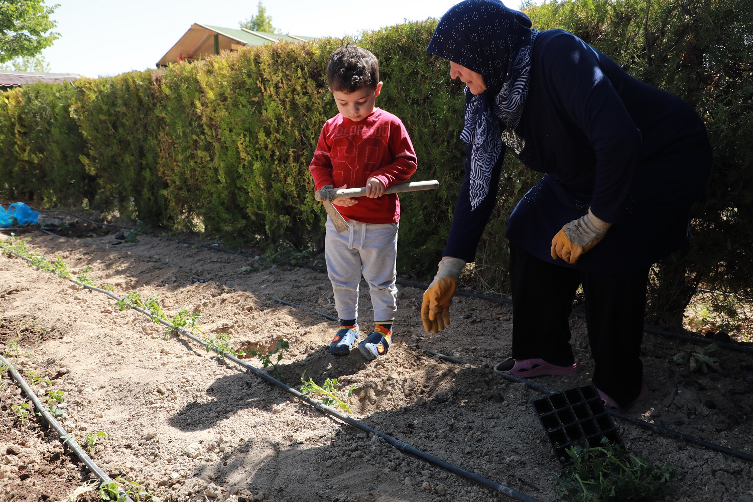 Karatay Hobi Bahçeleri’nde üretim sezonu başladı