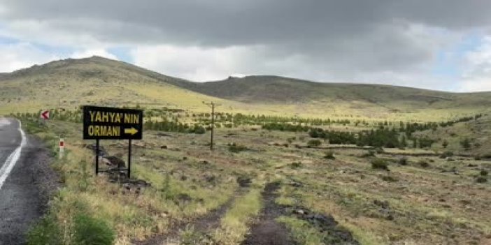 Konya'nın "Orman Dede"si son yolculuğuna uğurlandı
