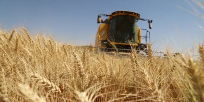 Şok iddia! Buğday fiyatlarında çiftçiye şok! 15 lira çok yüksek bulundu