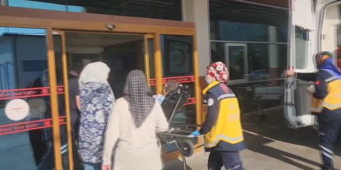 Konya'da pikniğe giden kişiyi yılan ısırdı