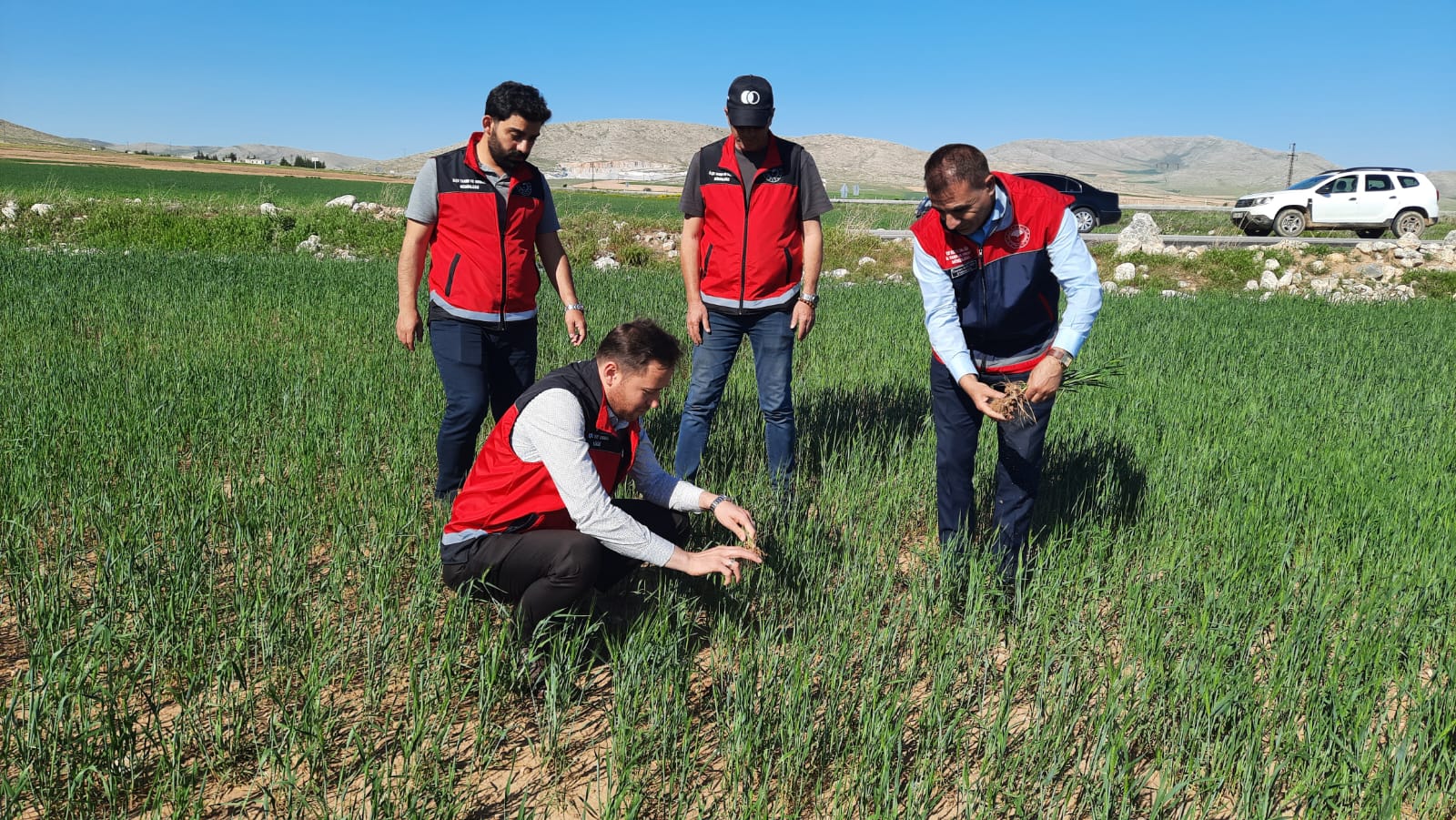 Yunak’ta hububat ekili alanlara yakın takip
