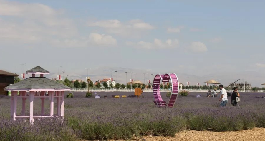 Karatay Lavanta Bahçesi ziyaretçilerini bekliyor