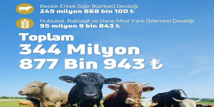 Tarımsal destek ödemeleri bugün hesaplara aktarılıyor