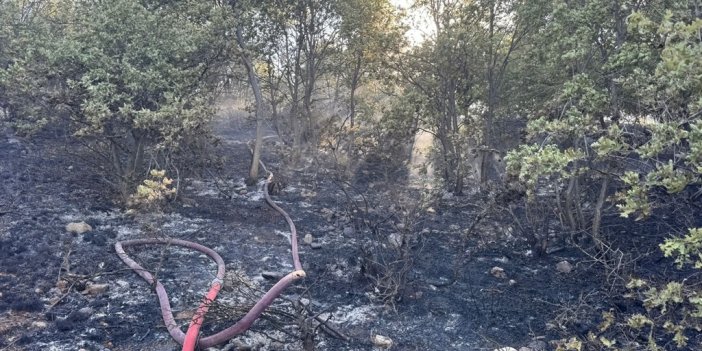 Konya'da ormanlık alanda çıkan yangın erken müdahale ile söndürüldü