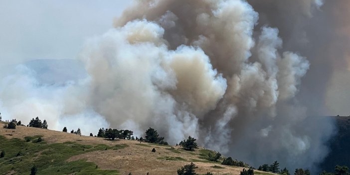 Başkan Altay bir kez daha yangınlara karşı uyardı! Müdahale devam ediyor