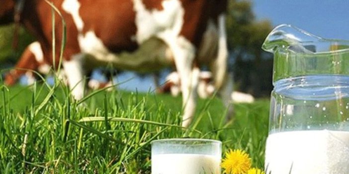 Çiğ süt fiyatına zam geldi: Taban fiyat belli oldu