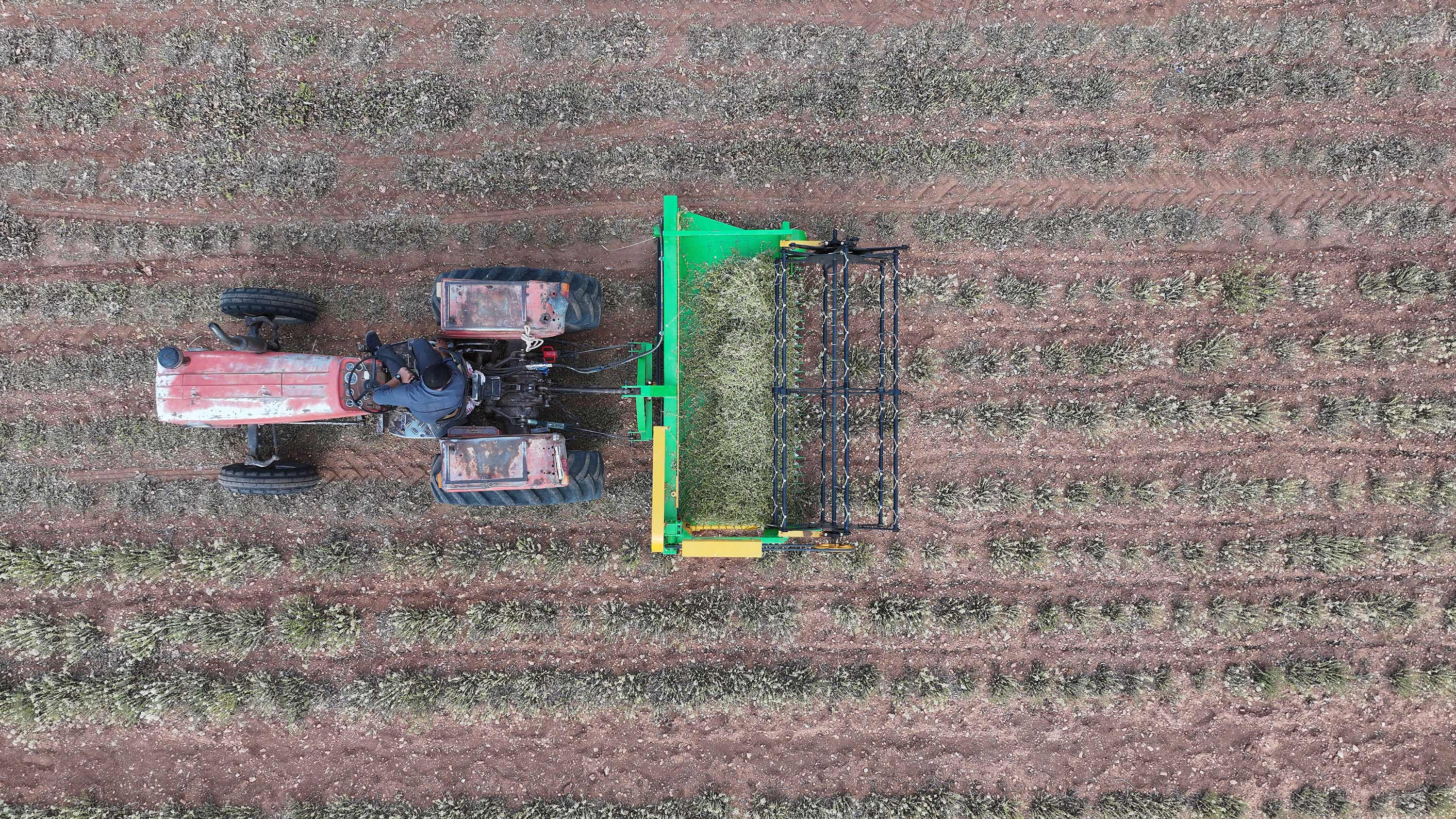 Konya Büyükşehir bitki destekleriyle çiftçiye fırsatlar sunuyor