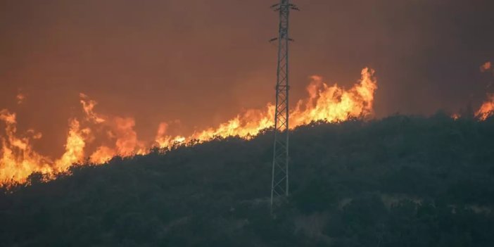 Eskişehir'de yangında alevlerin arasında kalan 10 orman işçisi ve AKUT çalışanı şehit oldu