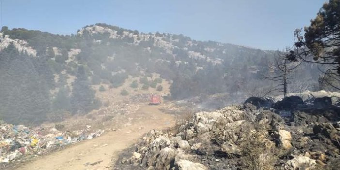 Konya'da ormana sıçrayan yangın söndürüldü