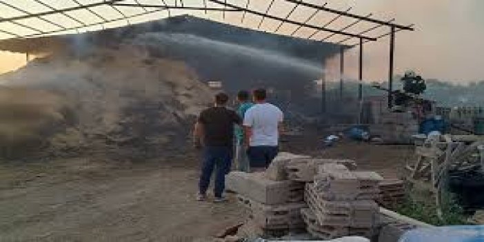 Konya'daki ahır ve samanlık yangınında 2 kişi yaralandı