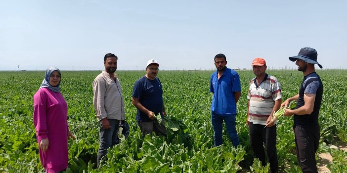 Karapınar Ziraat Odası üreticinin yanında