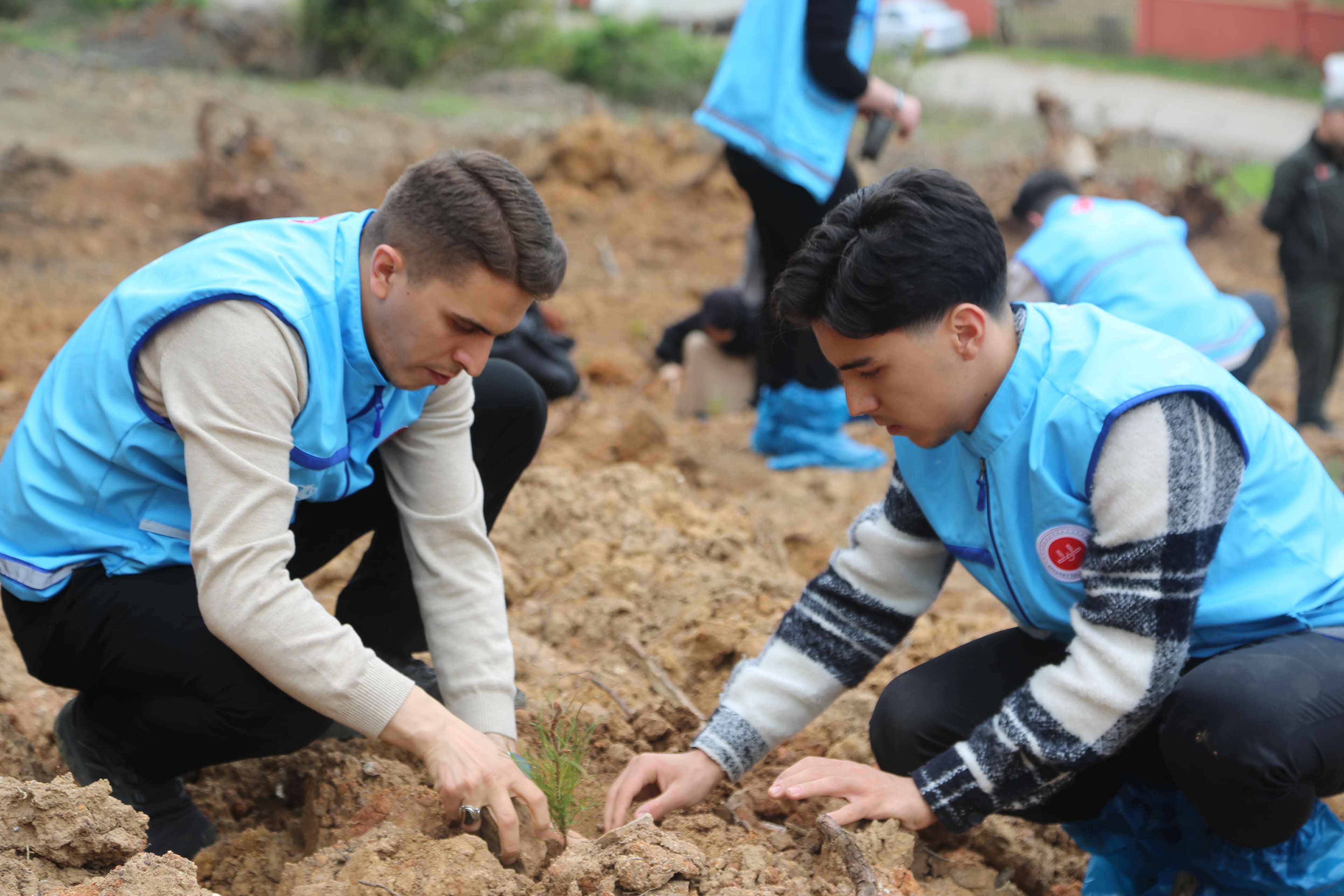 TDV’den “1 İyilik 1 Fidan” projesiyle fidan seferberliği