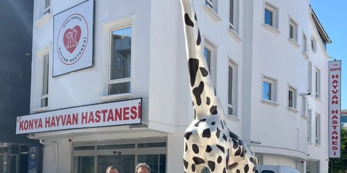 Konya'da hayvan hastanesi açılıyor