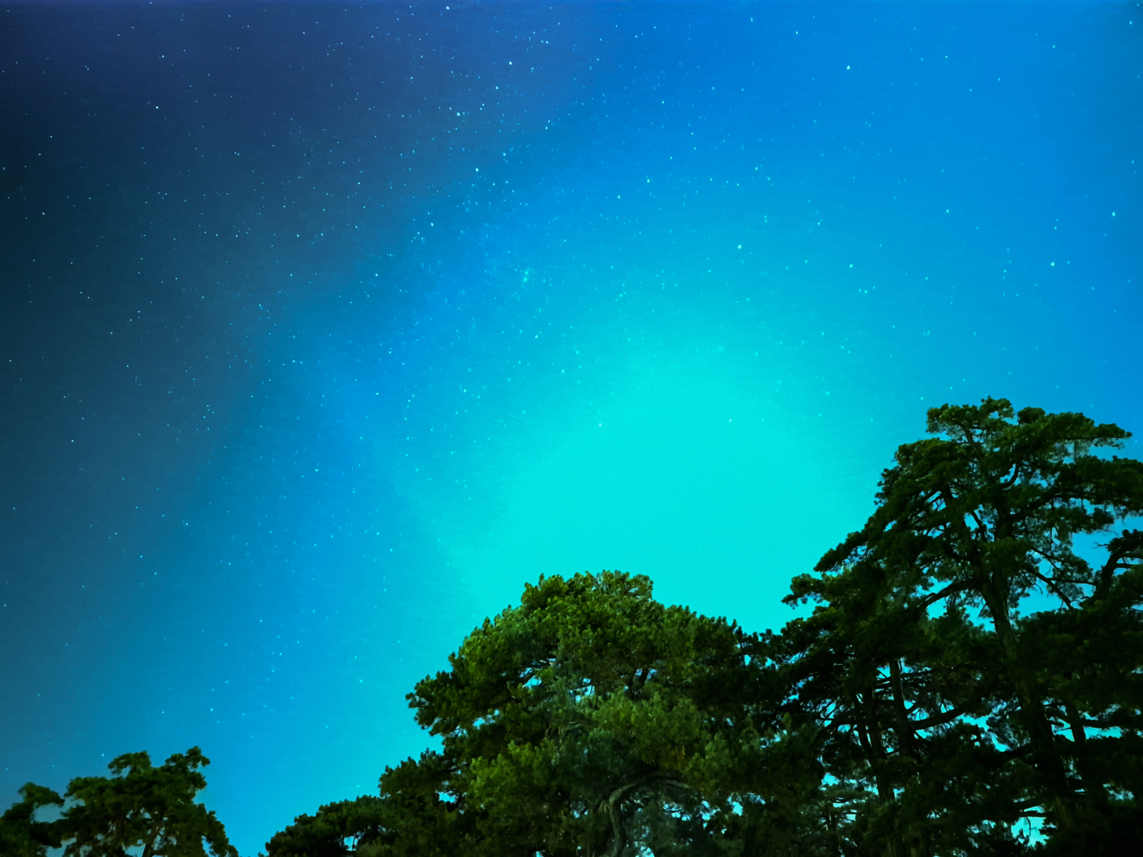 Meteor yağmuru Meram'da şölene dönüştü