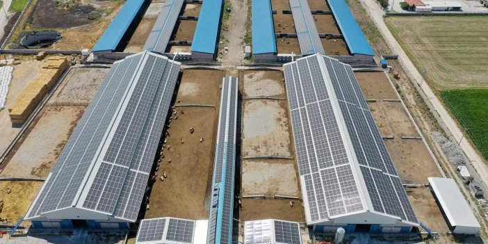 KARYEM Çiftliği'nden Örnek Yenilenebilir Enerji Yatırımı