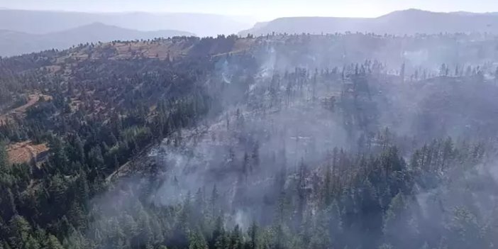 Karaman'daki orman yangını kontrol altında