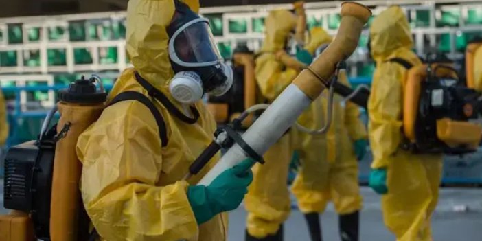 Chikungunya virüsü hızla yayılıyor! 16 ülkede 240 binden fazla vaka, 90 ölü