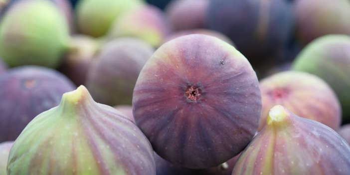 Meyve sebze ihracatçısı ürün eksikliği ve dövizle boğuşuyor
