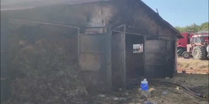 Konya'da ahırda çıkan yangında 6 büyükbaş hayvan telef oldu
