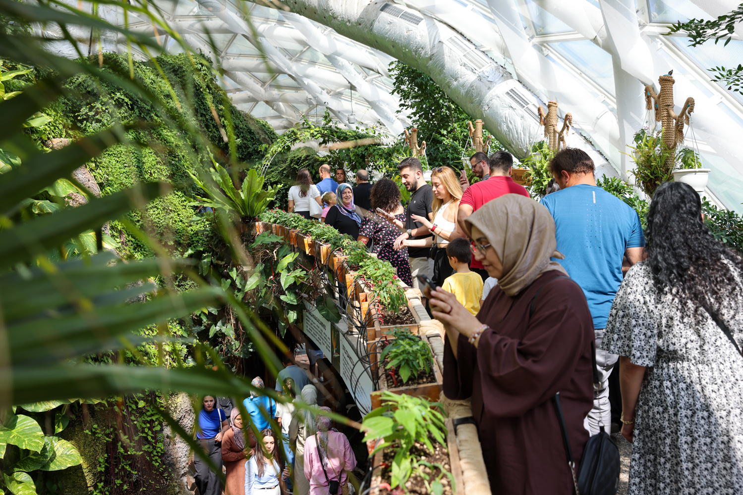 Konya Tropikal Kelebek Bahçesi ziyaretçilerin gözdesi