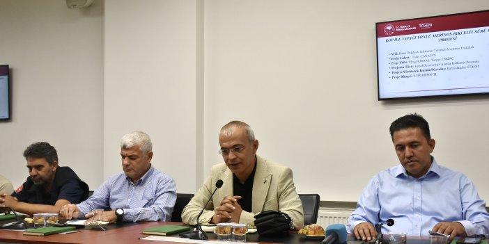 Yapağıda elit sürü dönemi başlıyor