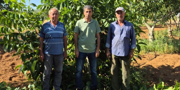 Konya'da ceviz üreticileriyle önemli buluşma