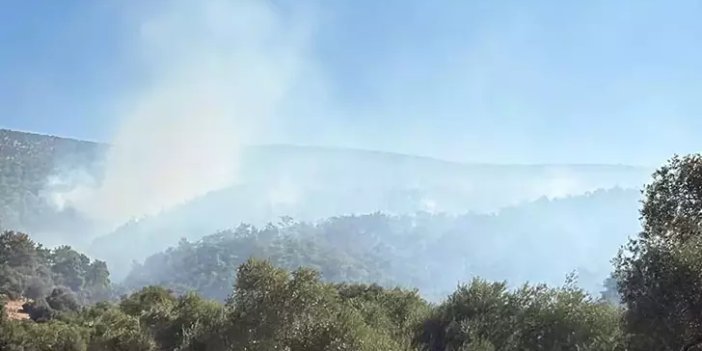 Muğla Milas'daki yangın Aydın'a geçti