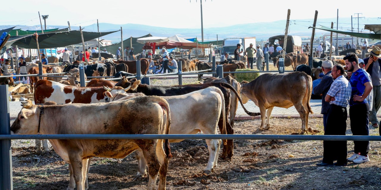 Kurban Bayramı için Meram her yönden hazır