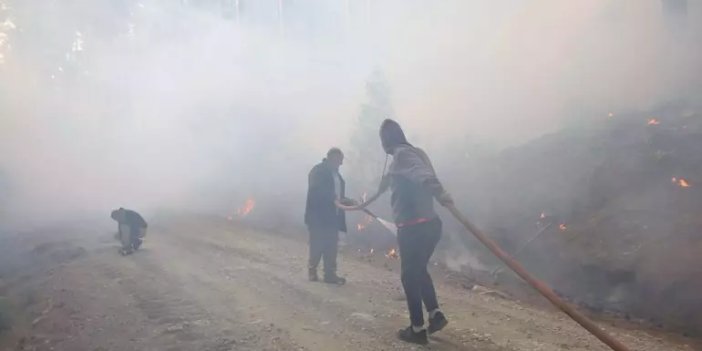 Muğla Köyceğiz'deki orman yangını devam ediyor