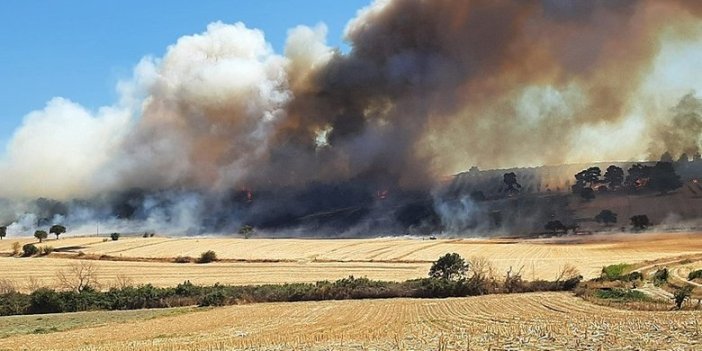Çanakkale'de orman yangını çıktı