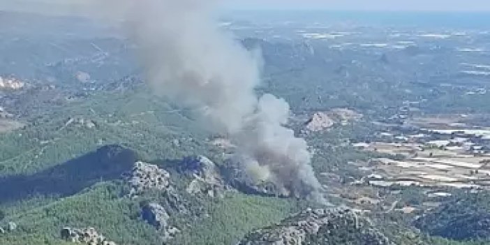 Antalya'nın Serik ilçesinde orman yangını
