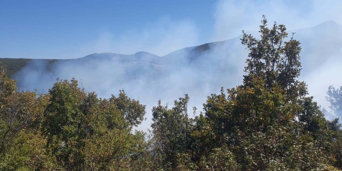 Konya'da orman yangını kısa sürede müdahale edildi
