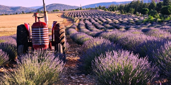 "Konya'nın o ilçesi Turizmin Merkezi Olacak"