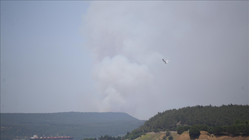 Çanakkale'de ormanlık alanda çıkan yangına müdahale ediliyor