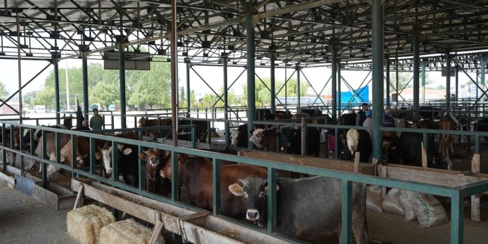 Eskişehir'de büyükşehir hayvan pazarı kapatıldı