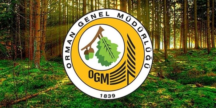 Orman Genel Müdürlüğü 262 daimi işçi alacak