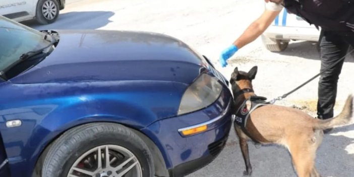 Konya'nın o ilçesinde dev uyuşturucu operasyonu