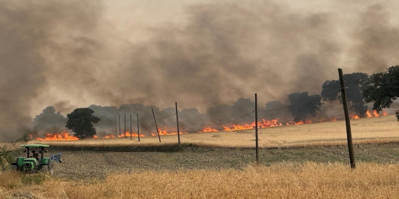 Tarım arazisinde çıkan yangın ormana sıçradı