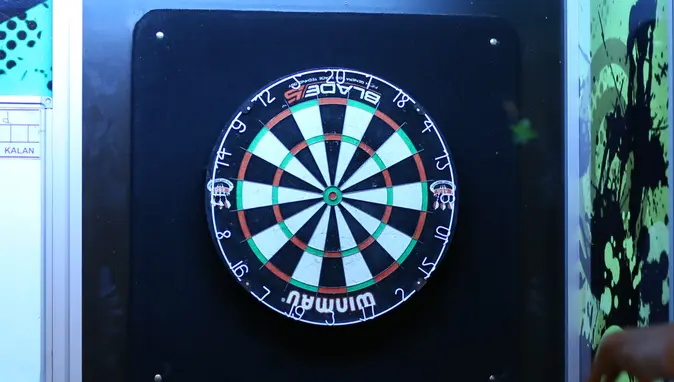 Millilerden Dünya Dart Şampiyonası'nda 4 madalya