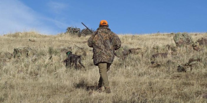 Konya'da çiftçinin başı domuzlarla dertte!