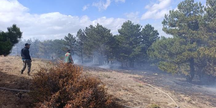 Konya'da çıkan yangın korkuttu! Konya Bakış uyarmıştı: Korkulan oldu
