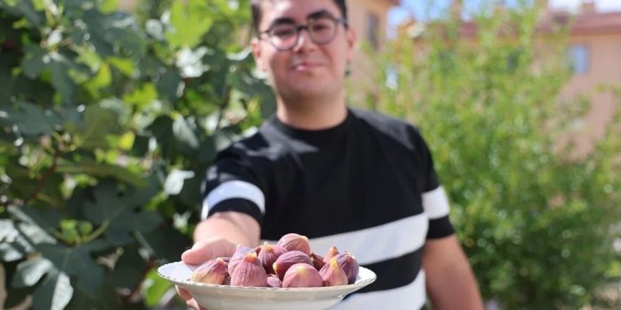 Konya'da yetişmesi zor olan meyveyi apartman bahçesinde yetiştirdi