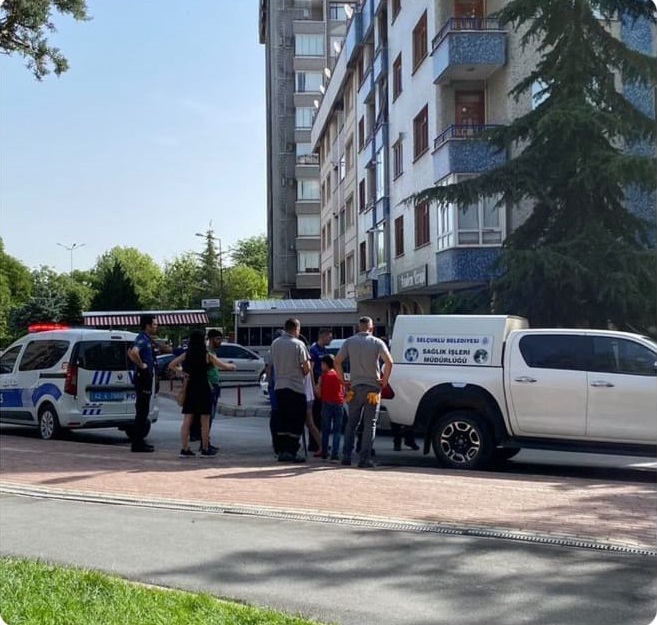 Selçuklu Belediyesi, şikayetler üzerine harekete geçti! Bu parktaki başıboş köpekler toplandı