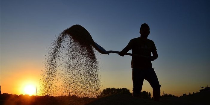 Çiftçilere 320,6 milyon lira destek