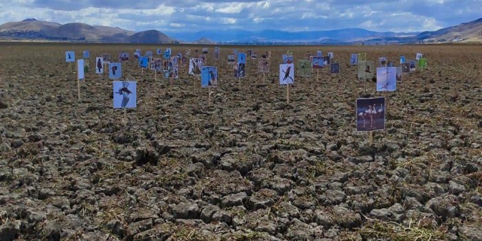 Konya'da kuruyan gölde, daha önce çekilen kuşların fotoğraflarıyla kuraklığa dikkat çektiler