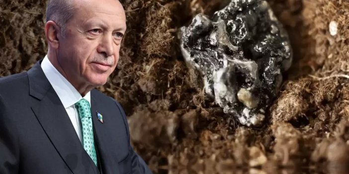 Başkan Erdoğan müjdeyi verdi! Konya önemli potansiyel