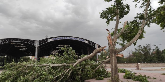 Konya'da kuvvetli rüzgar ağaçları söktü